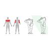 ADBIBIPATX05-areas-deportivas-push-up-pro-02 ADBIBIPATX05-areas-deportivas-push-up-pro-02