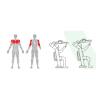 ADBIBIPATX06-areas-deportivas-chest-press-pro-02 ADBIBIPATX06-areas-deportivas-chest-press-pro-02